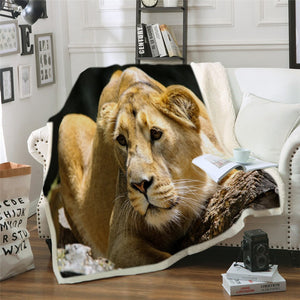 Plaid tête de Lion A