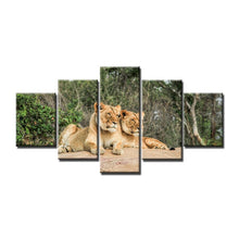 Charger l&#39;image dans la galerie, Tableau de lions 5 pièces