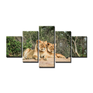 Tableau de lions 5 pièces