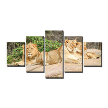 Charger l&#39;image dans la galerie, Tableau de lions 5 pièces