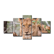 Charger l&#39;image dans la galerie, Tableau de lions 5 pièces