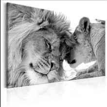 Charger l&#39;image dans la galerie, Toile de lion et lionne