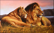 Charger l&#39;image dans la galerie, Poster Lion  et Lionne