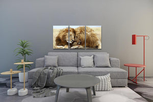 Tableau Lion 30X40